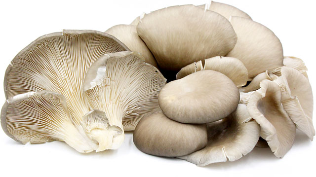 Древесные грибы 1 кг.