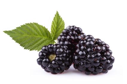 Blackberries 1 kg