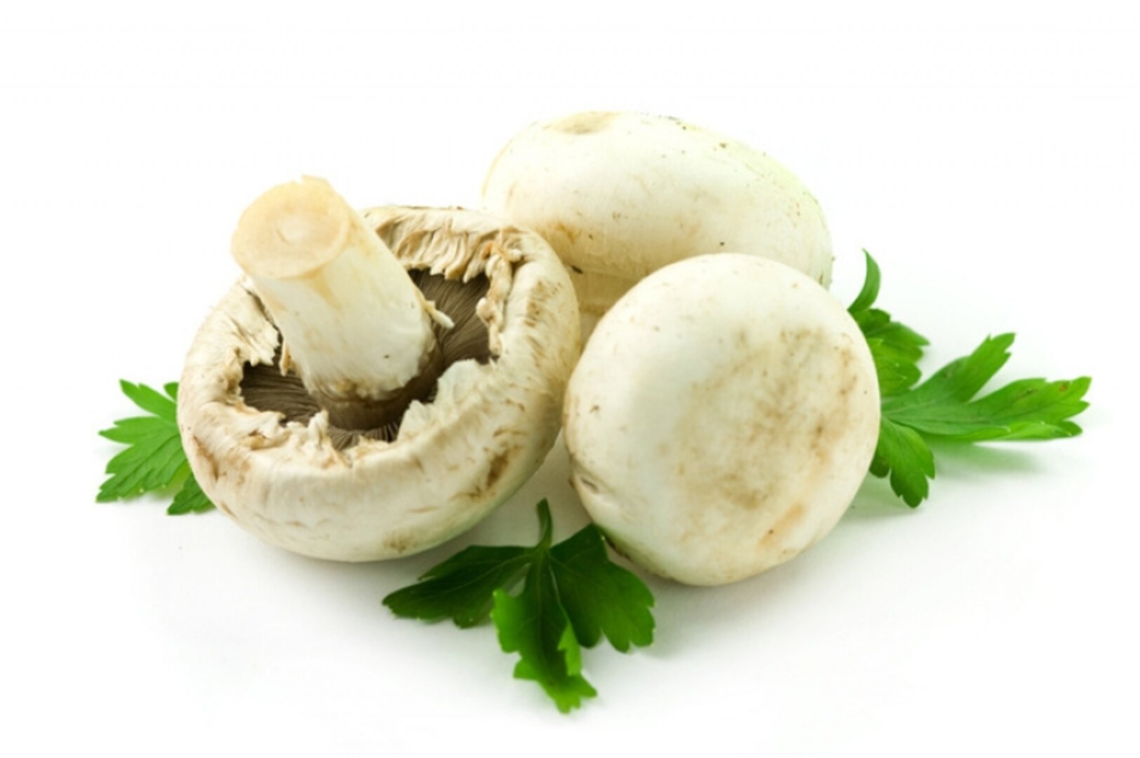 Mushroom KAMA 1 kg